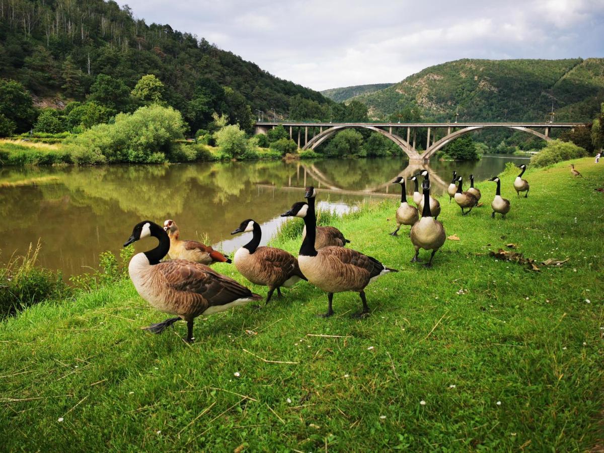 La Bayenne Revin (Ardennes) Exterior foto