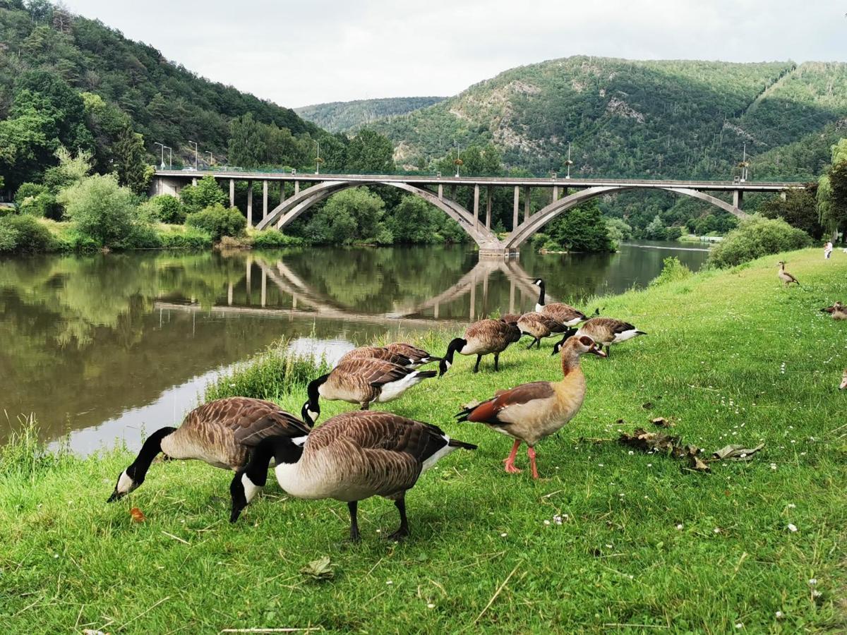 La Bayenne Revin (Ardennes) Exterior foto